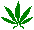 drugs
